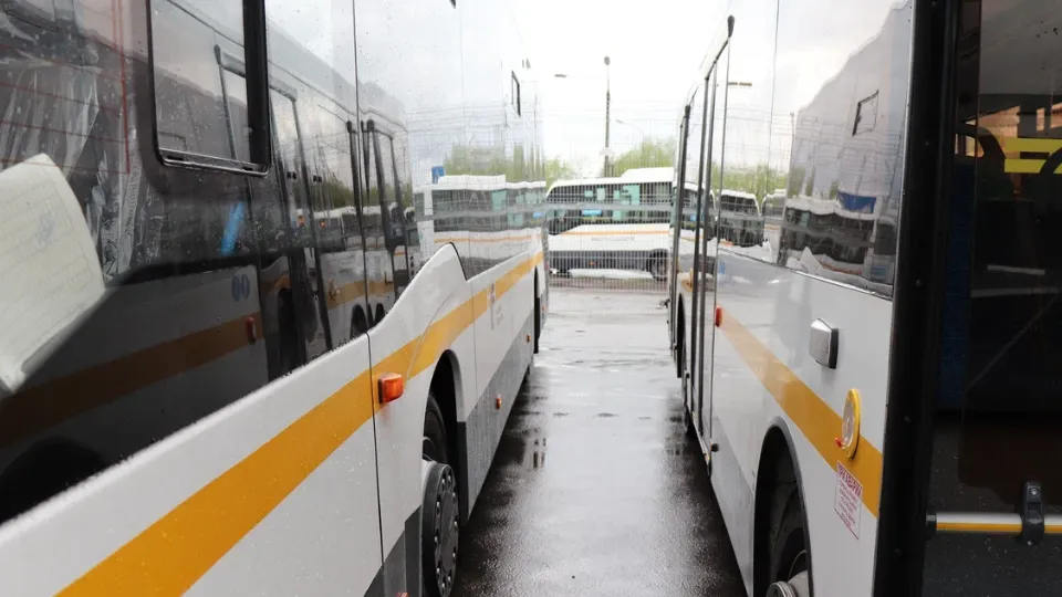 Фото: REGIONS/Василий Тремасов