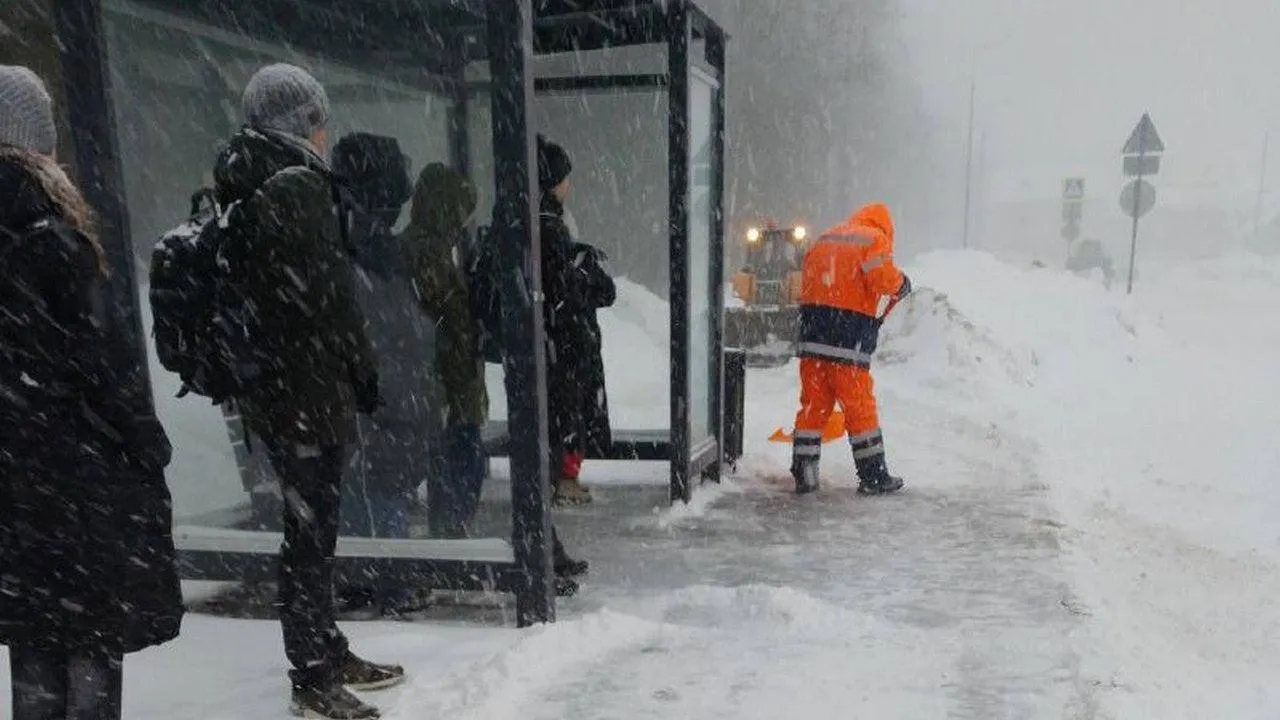 t.me/artsuvorov_live