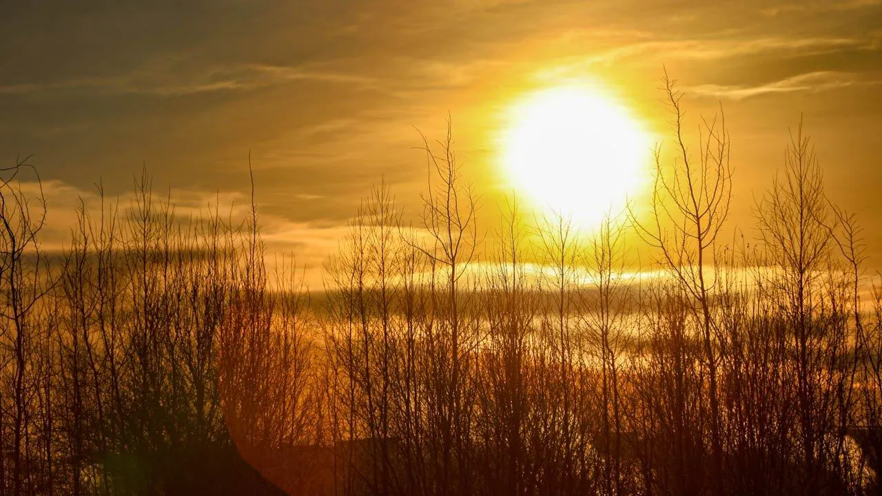 REGIONS/Роман Малышенко