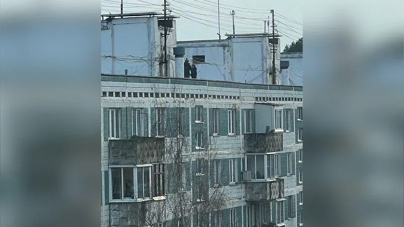 Дмитров | Reality / ВКонтакте