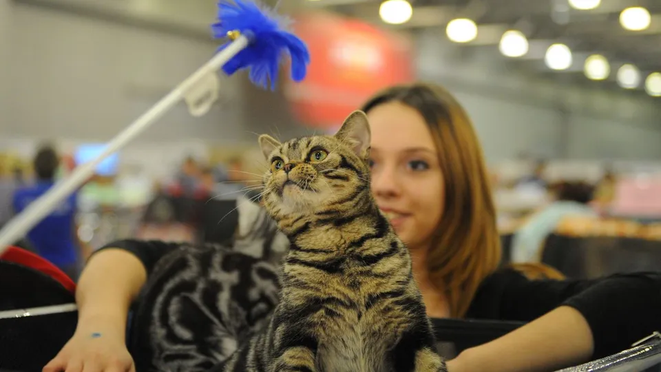 Фото: медиасток.рф