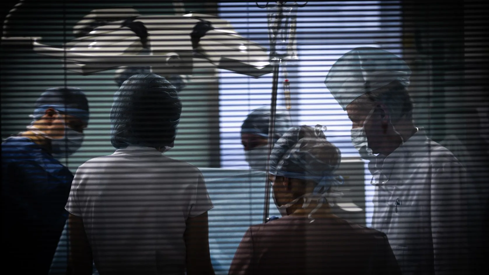 Фото: Медиаархив Подмосковья