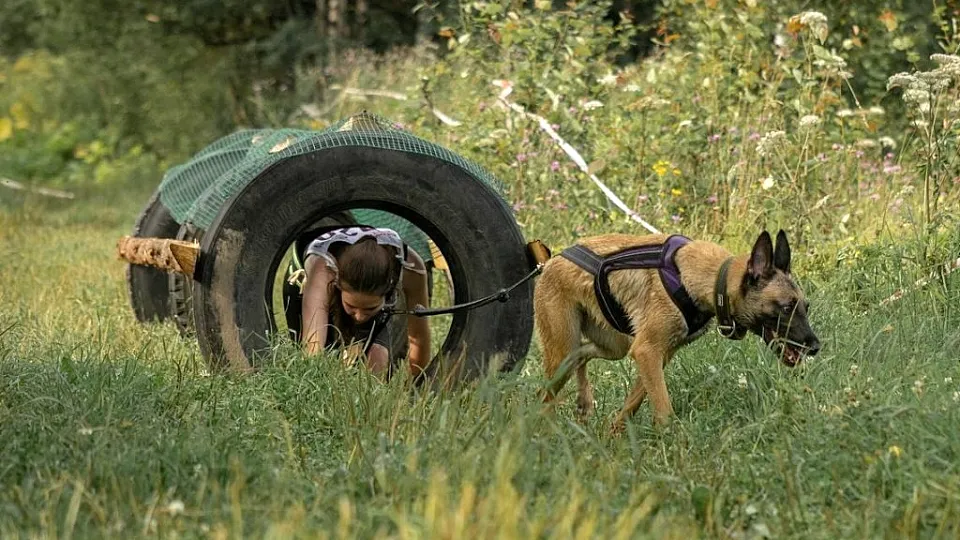 Фото: Министерство образования МО