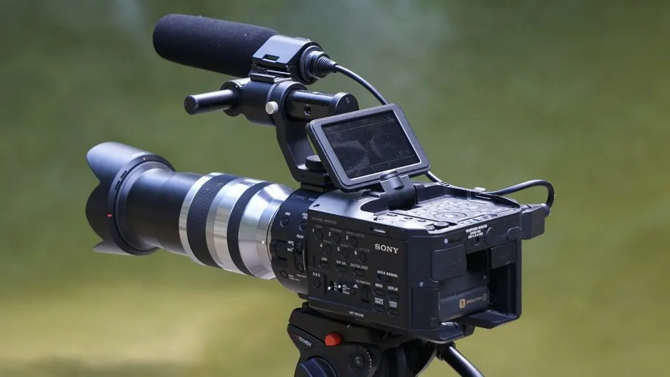 Фото: pxhere.com