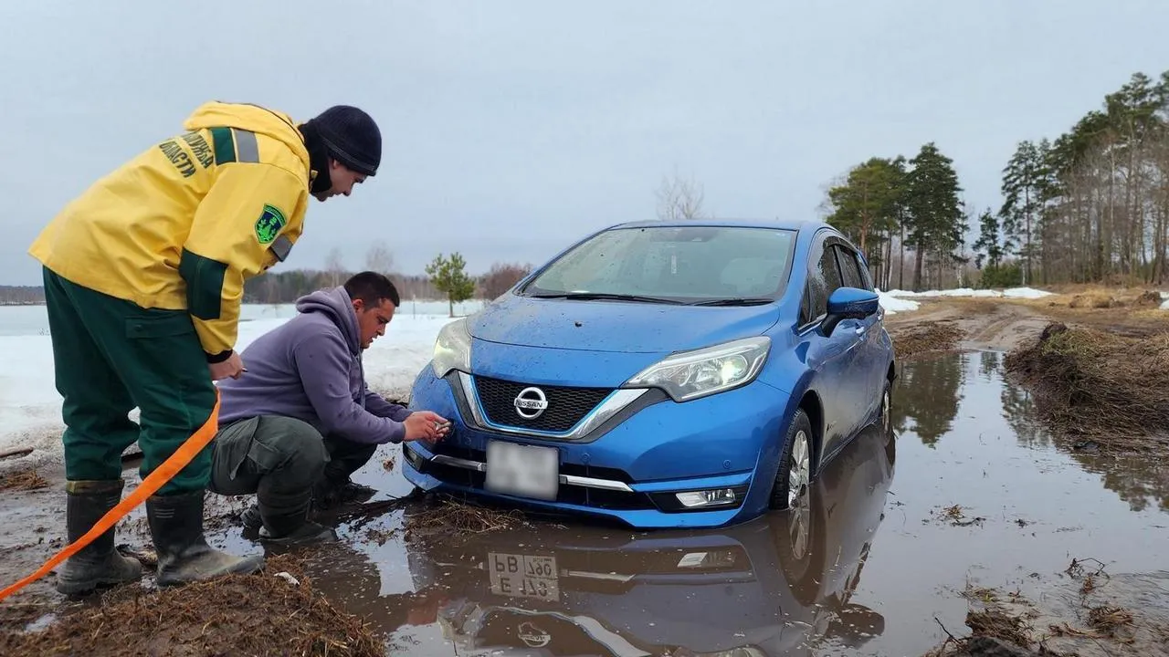 МедиаБанк Подмосковья/Анна Шолохова