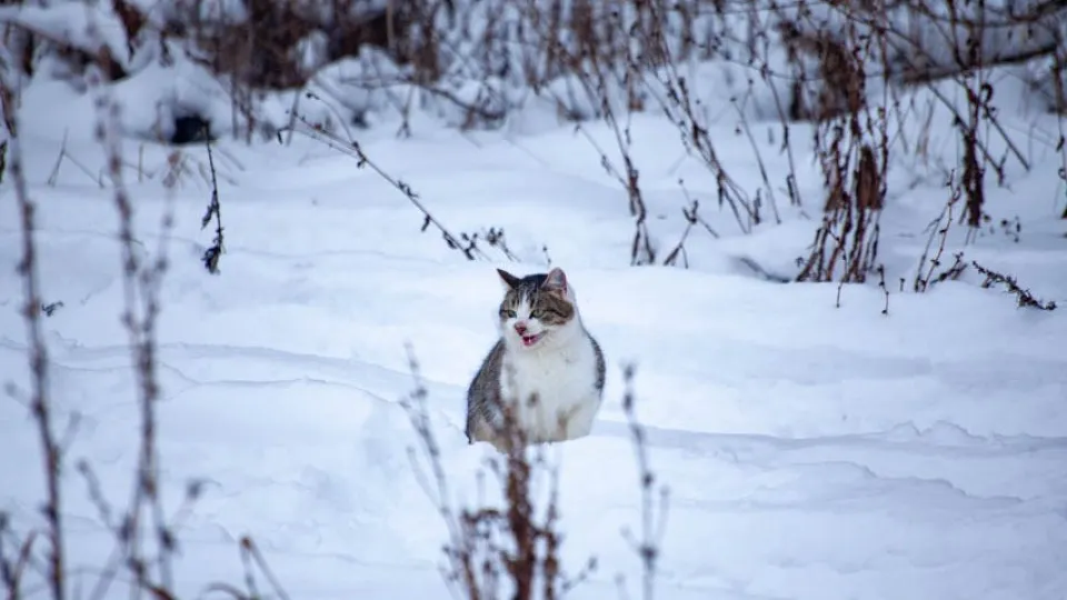 Фото: REGIONS/Дарина Левкина