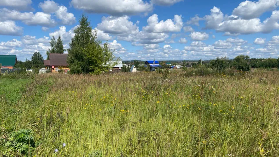 Фото: Администрация г.о. Серебряные Пруды