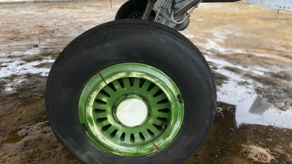 Фото: МедиаБанк Подмосковья/Юлиан Миранду