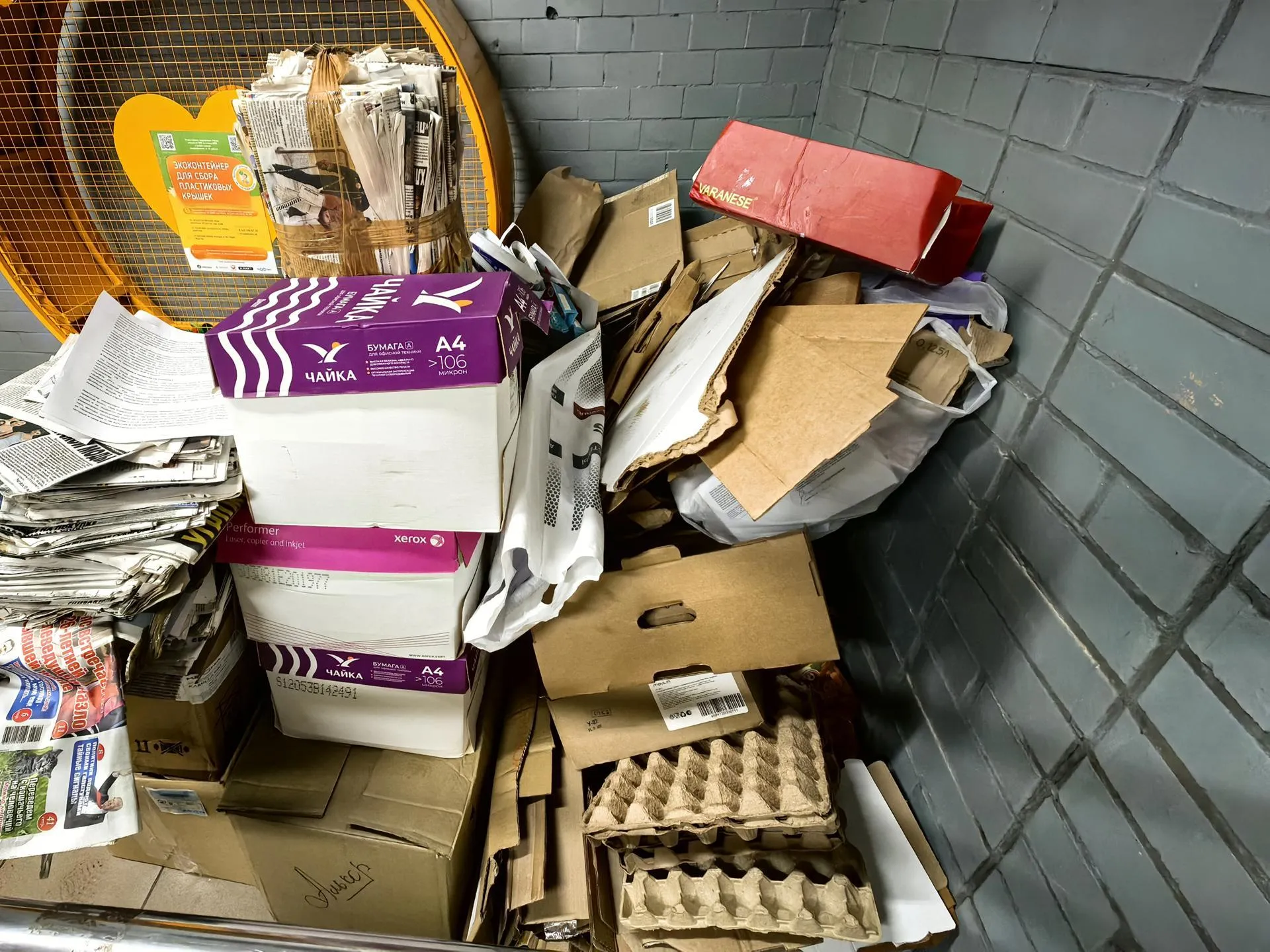 Елена Катасонова