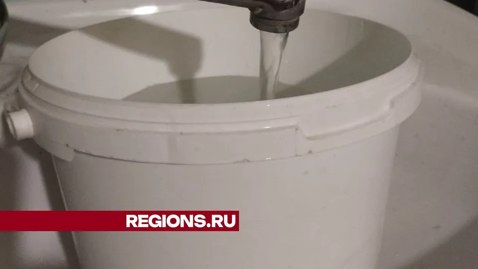 Фото: REGIONS/Наталья Широкая