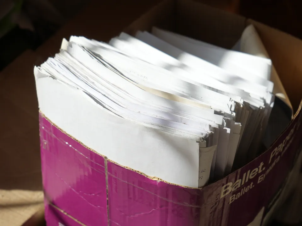 Фото: МедиаБанк Подмосковья/Мария Юдина