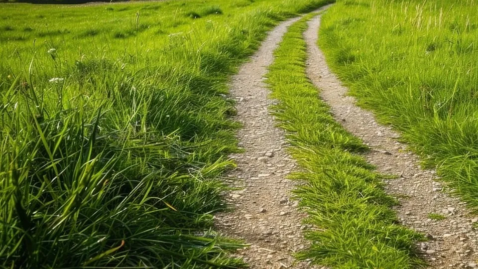 Фото: freepik.com