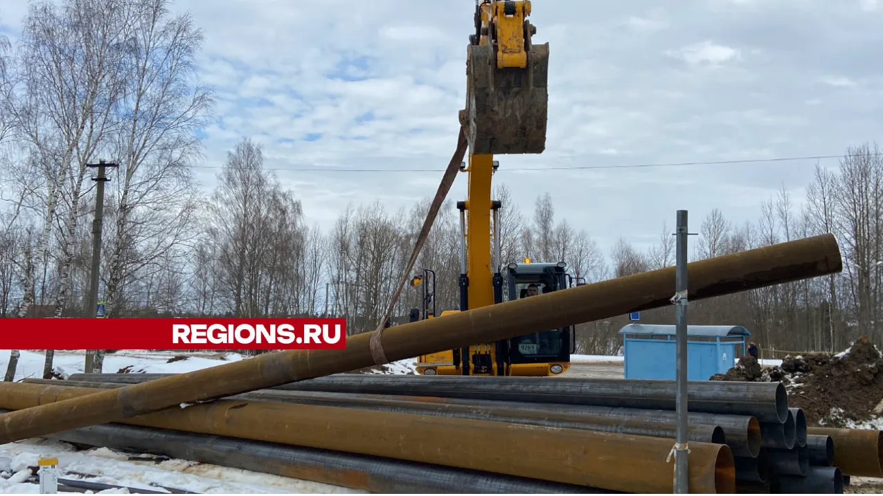 Фото: Дарья Шапочкина