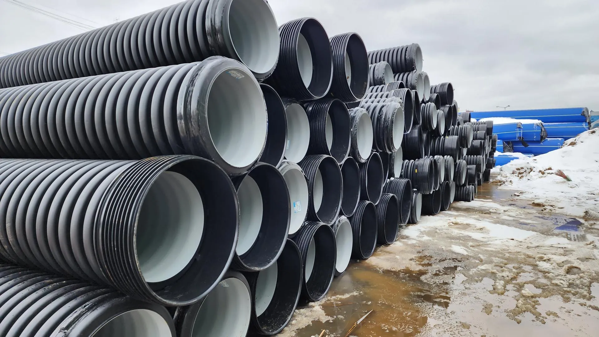 REGIONS/Евгений Рой