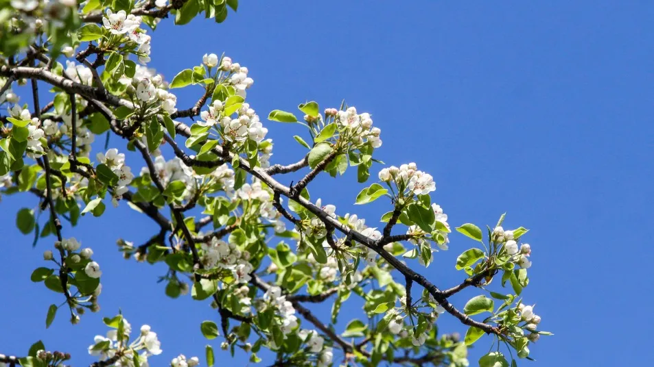 Фото: пресс-служба администрации г.о. Кашира