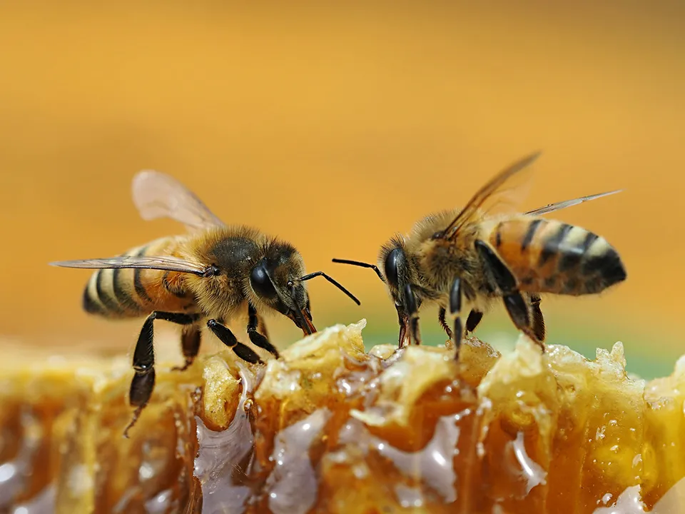 Фото: istockphoto.com