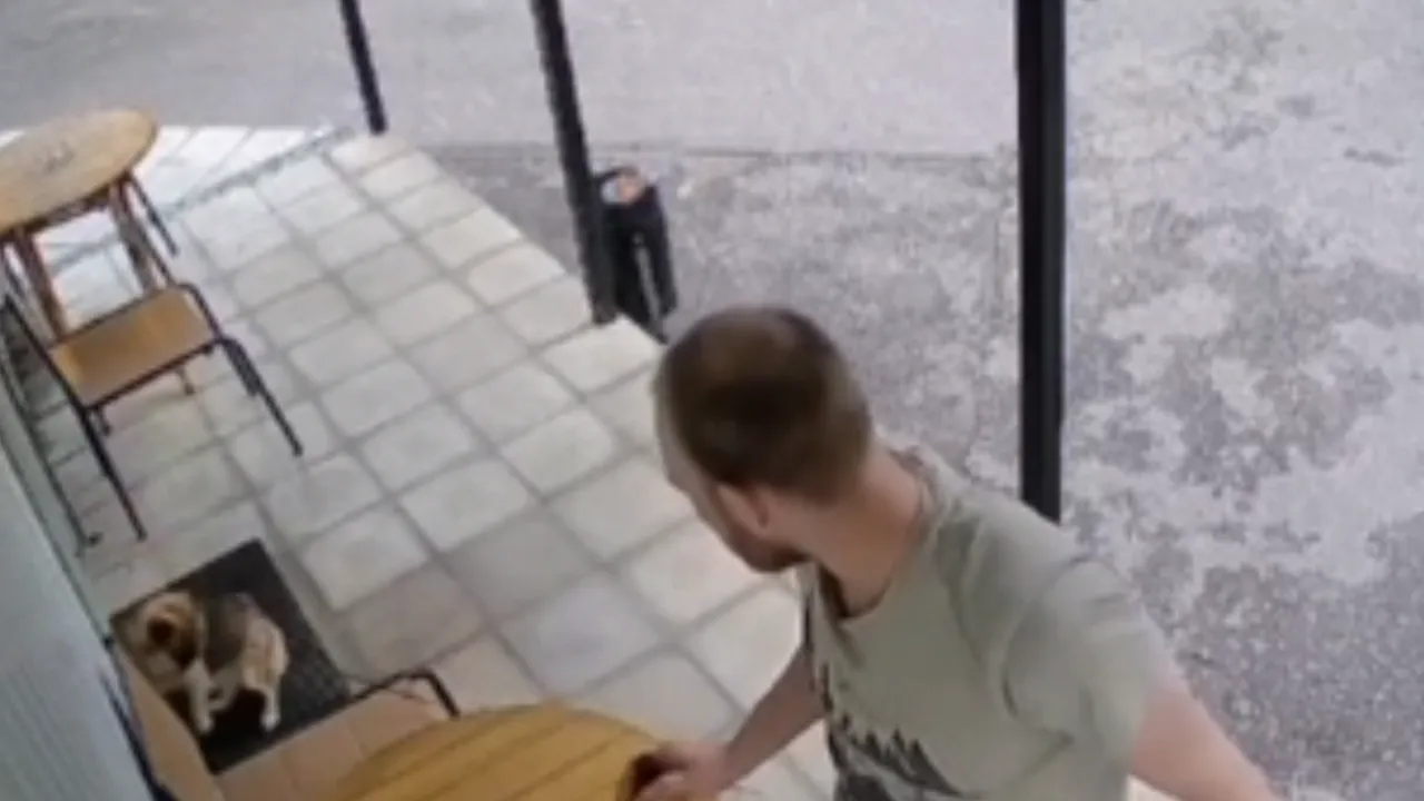 Фото: t.me/myluber