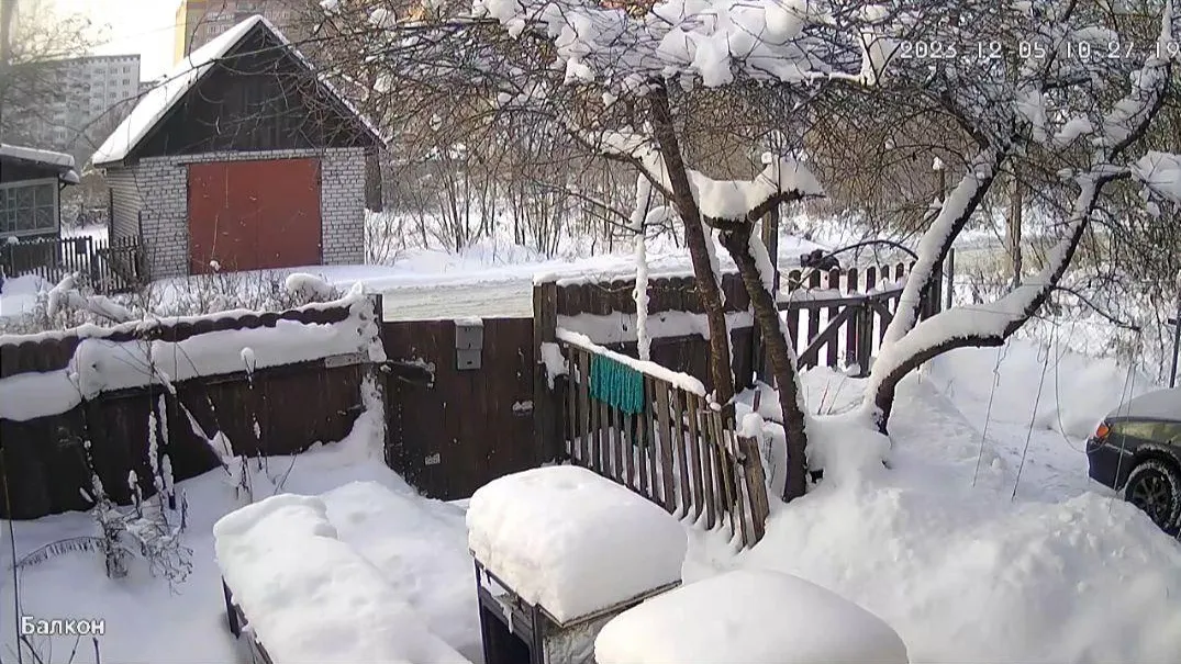 Фото: скриншот видео из соцсети.