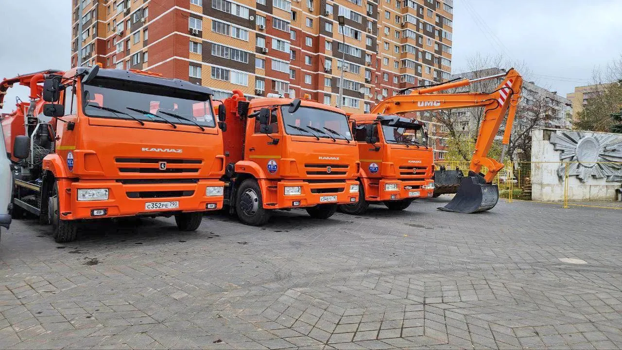 Фото: Валерия Тингаева