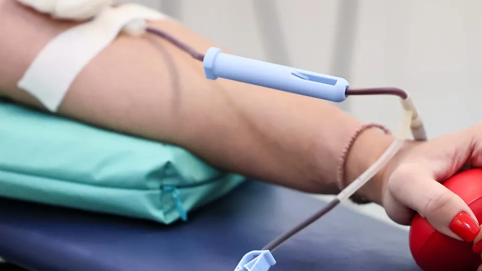 Фото: freepik.com