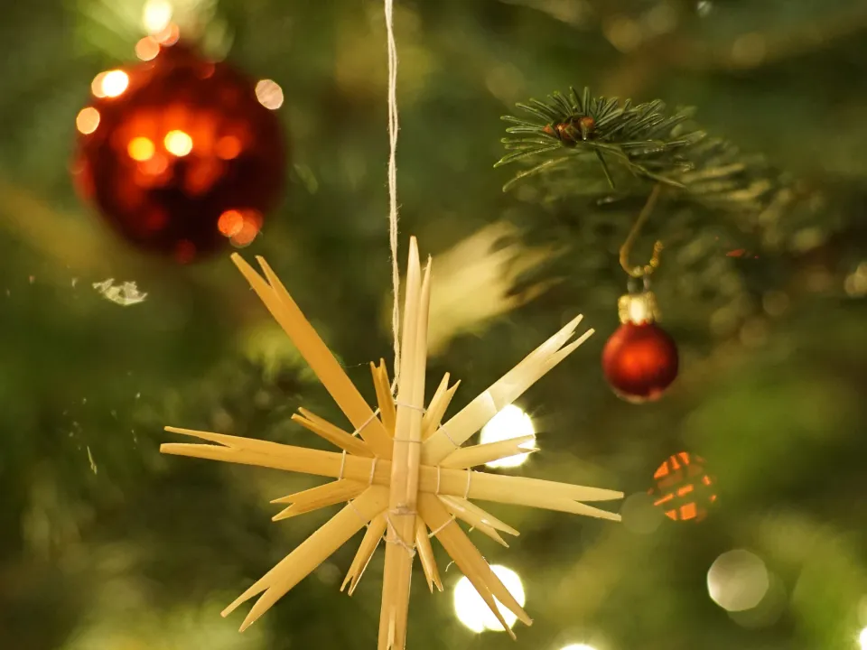 Фото: pxhere.com