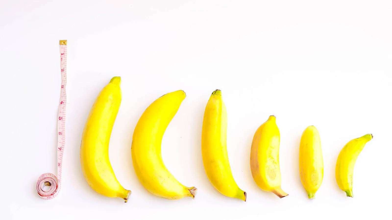 Фото: Pixabay.com