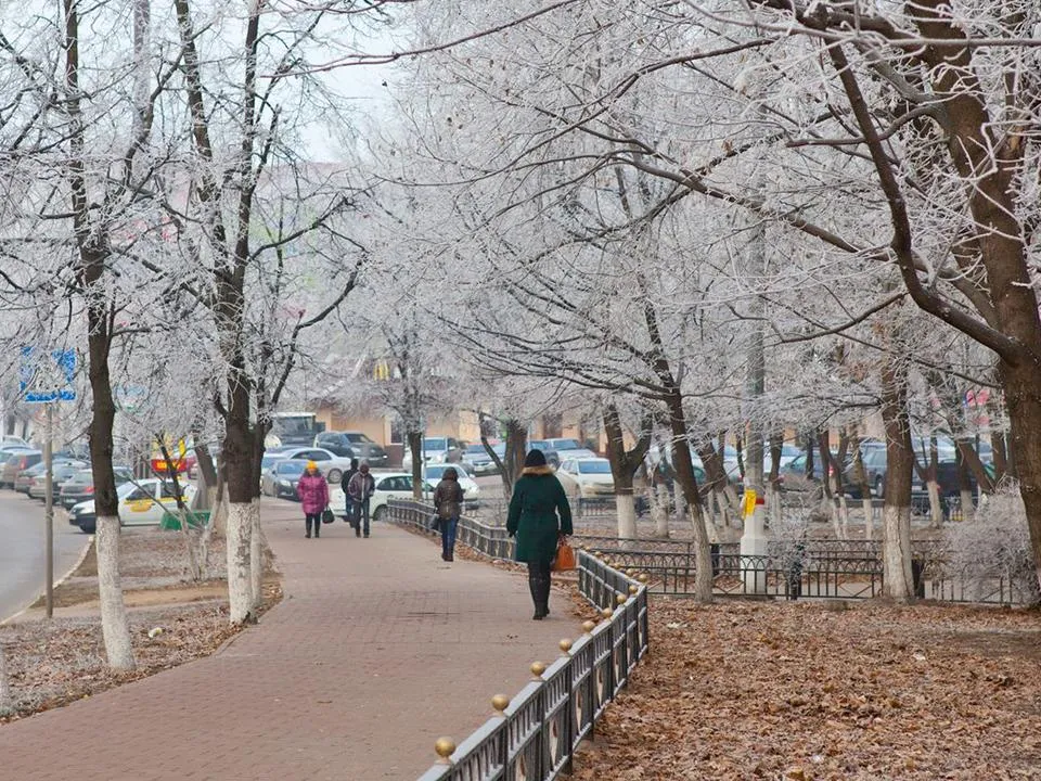 Ад для метеозависимых: погодные качели ждут жителей Москвы и Подмосковья на неделе с 23 по 26 декабря