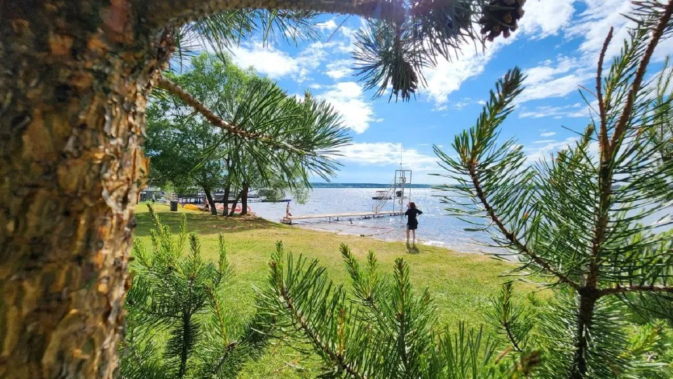 Фото: МедиаБанк Подмосковья/Яна Шаливская