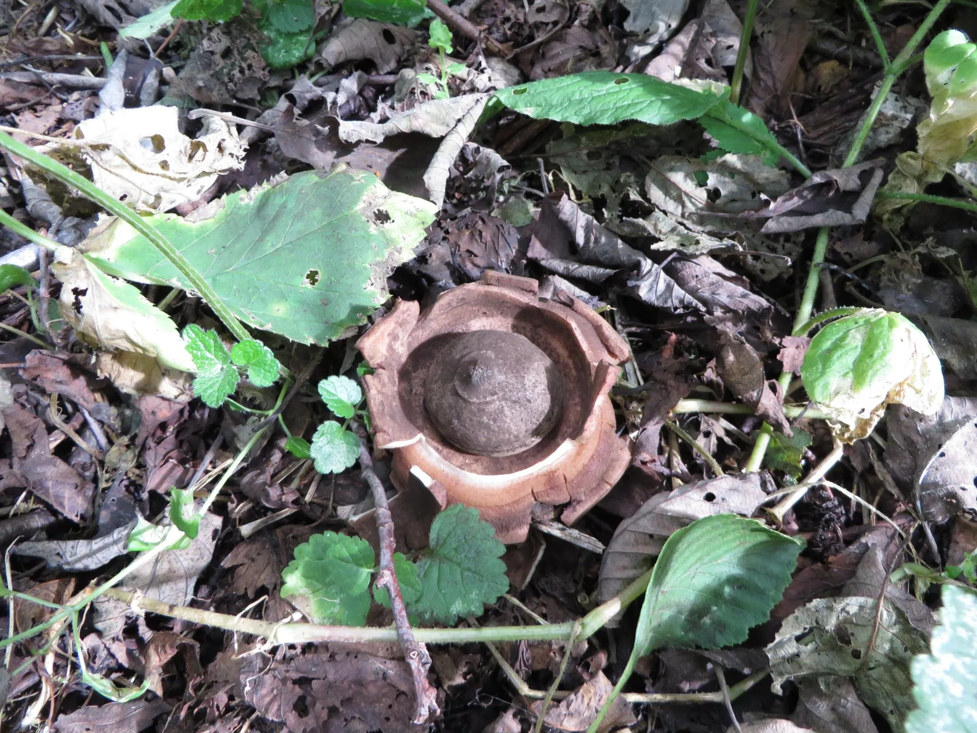 Министерство экологии и природопользования Московской области