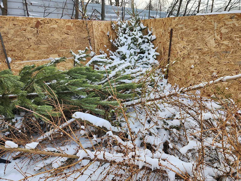 Фото: МедиаБанк Подмосковья/Роман Савельев