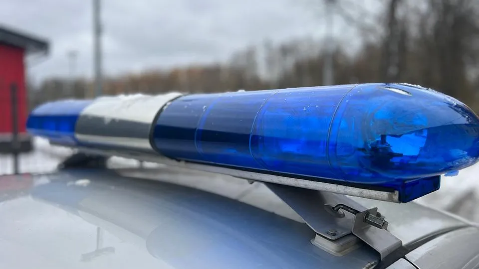 Фото: МедиаБанк Подмосковья/Евгения Герасимова