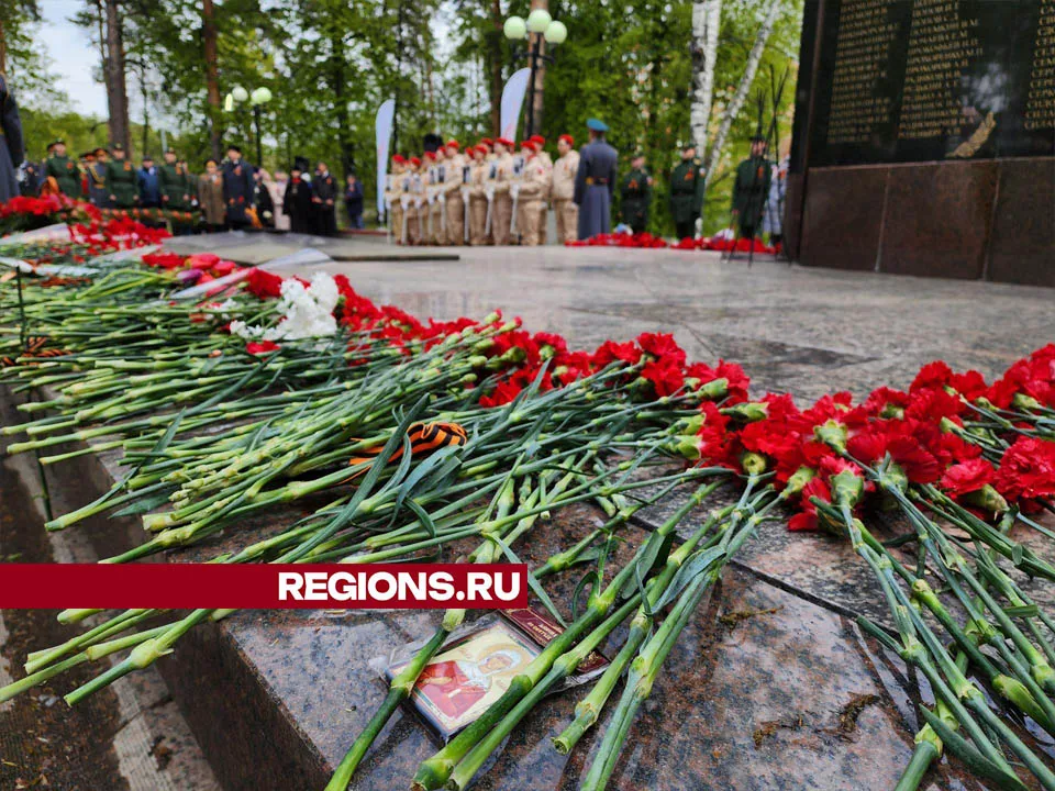 Фото: Артём Мишуков