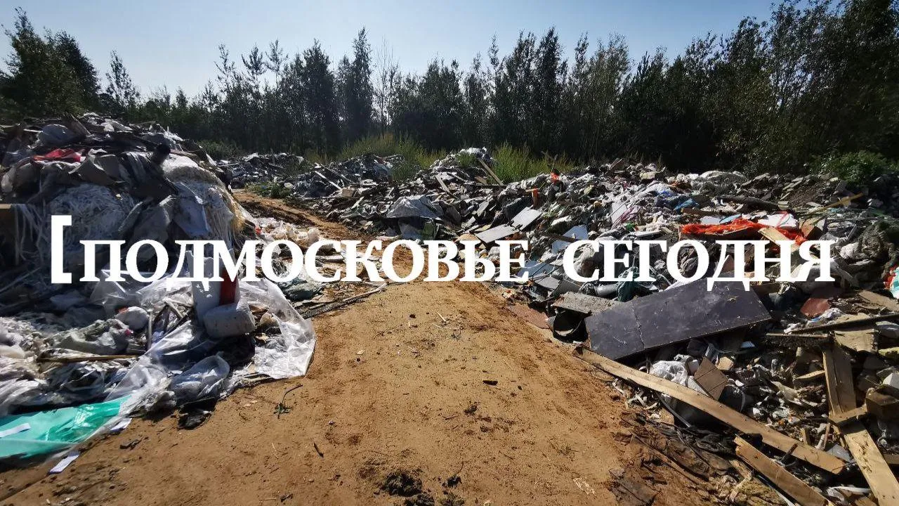 Анна Слепокурова