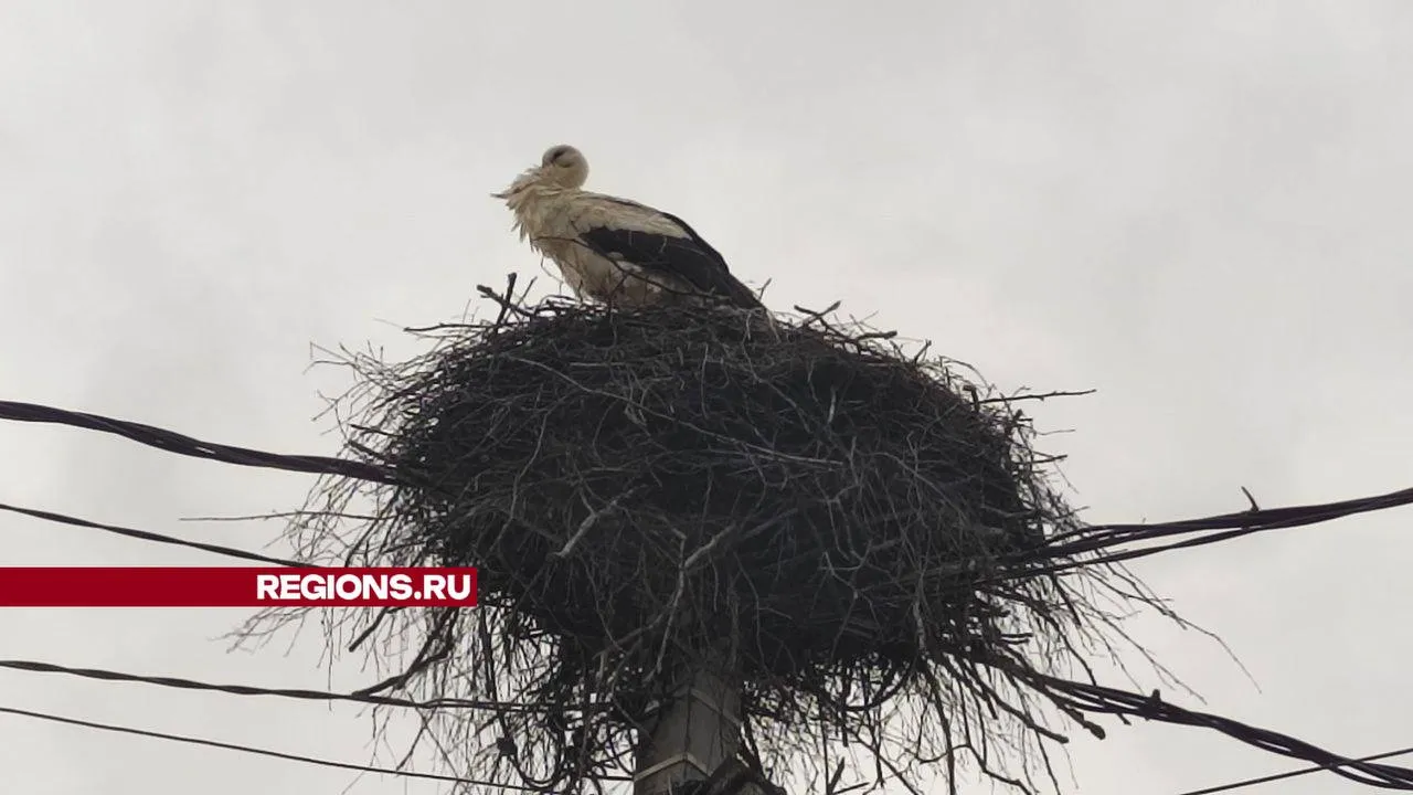 фото: Владислав Мурашов