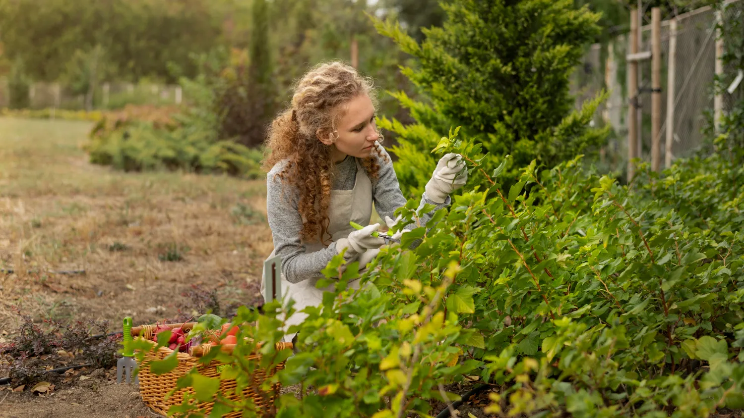 Фото: freepik.com