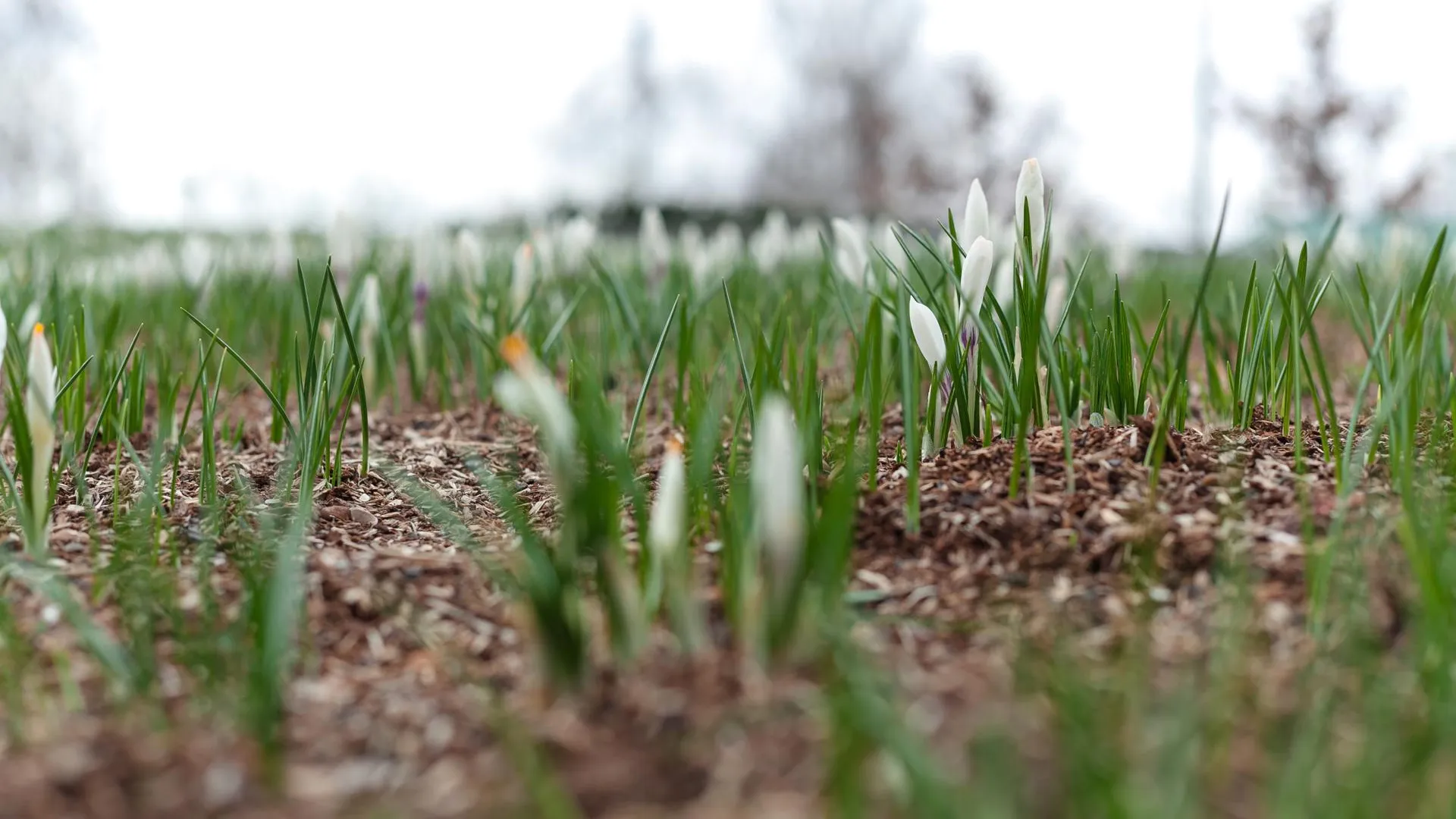 медиасток.рф