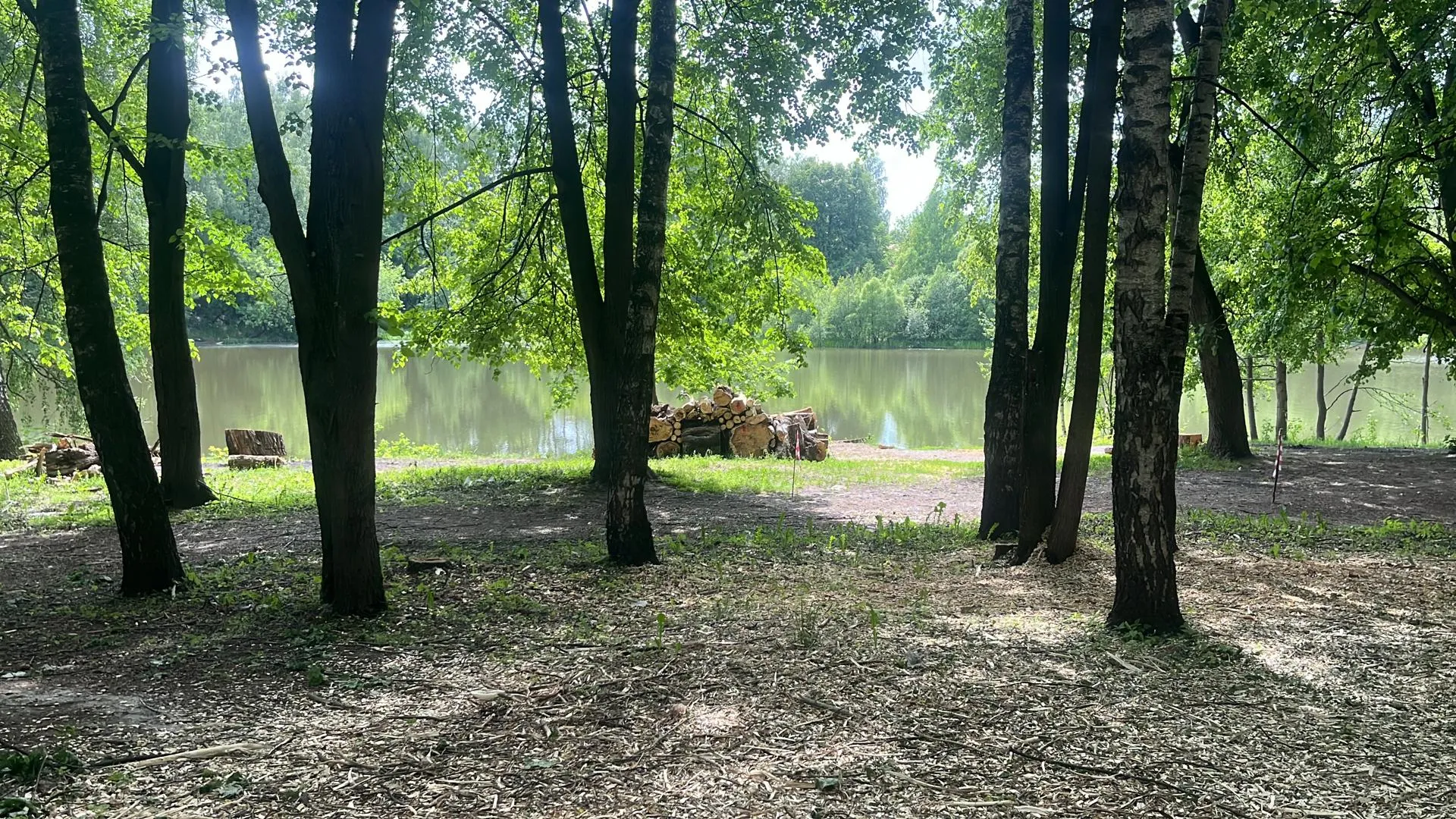 Фото: Елизавета Приймак