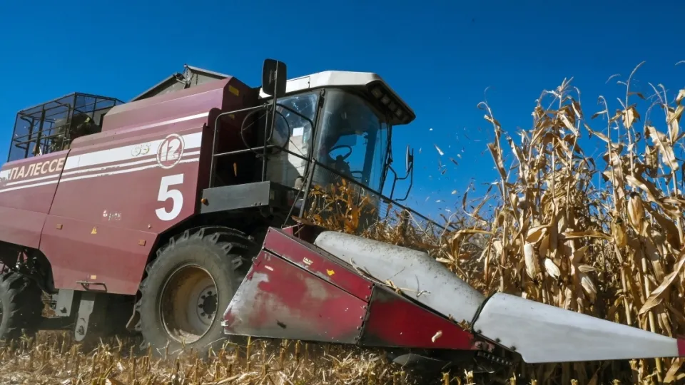 Фото: РИА Новости/Александр Погожев