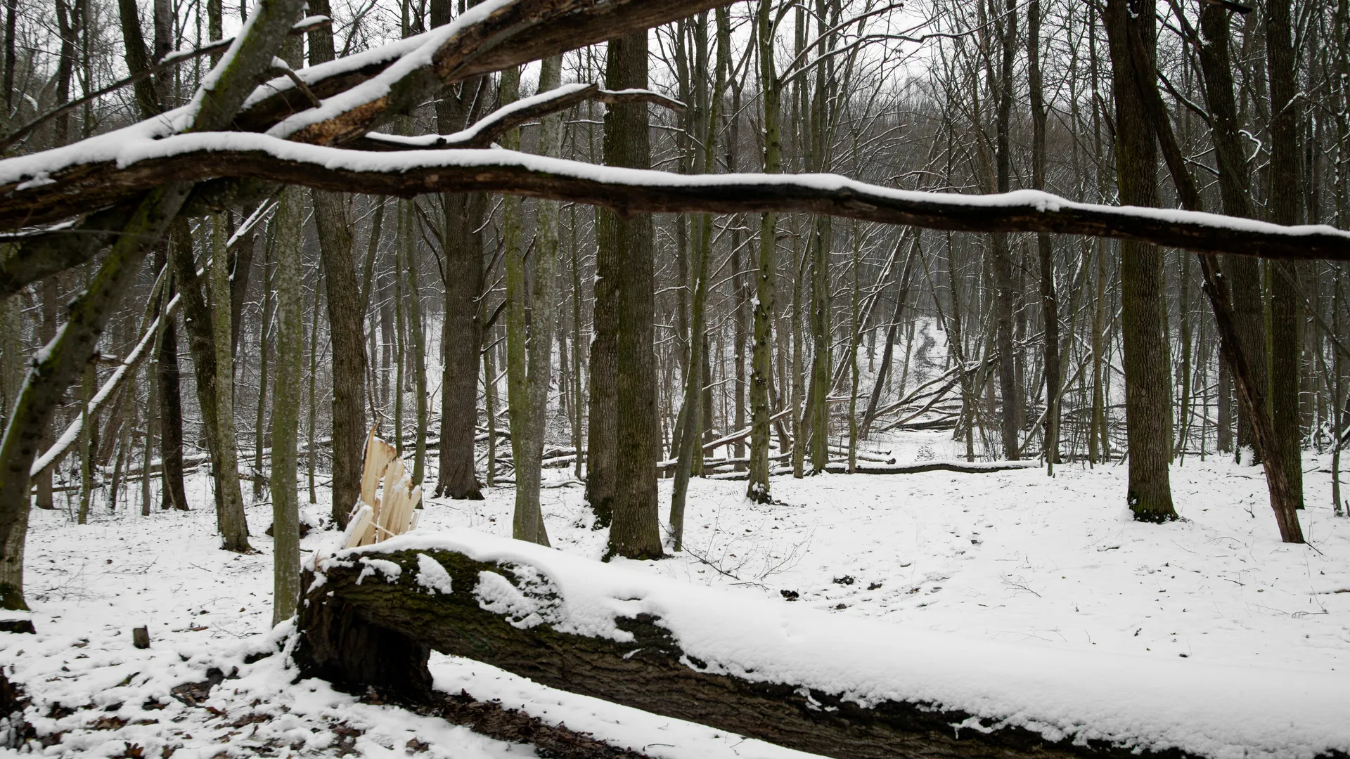 Фото: ru.freepik.com