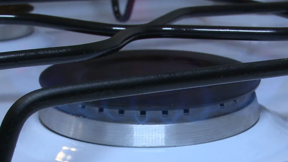 Фото: МедиаБанк Подмосковья/Ксения Казакова