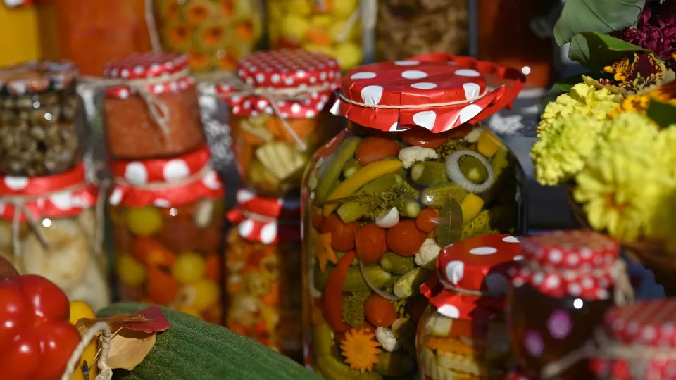 Фото: РИА Новости/Алексей Мальгавко