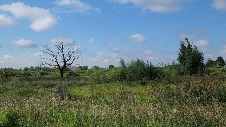 Фото: МедиаБанк Подмосковья/Ольга Аввакумова