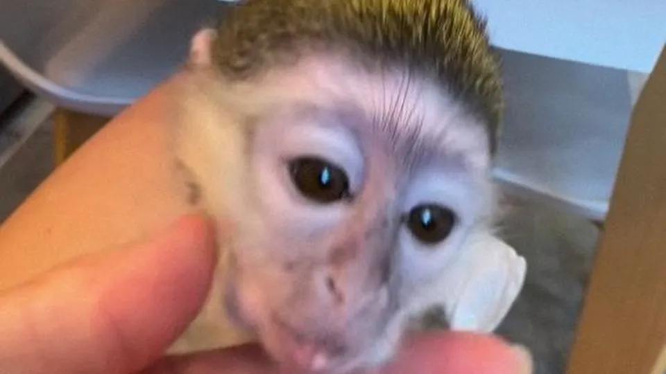 Фото: REGIONS/Наталья Фомина