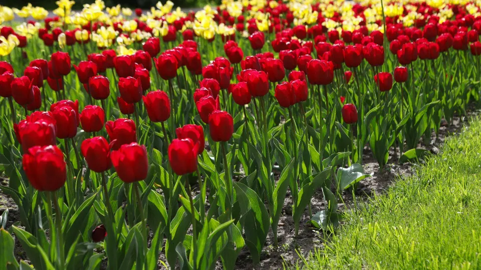 Фото: администрация г.о. Воскресенск