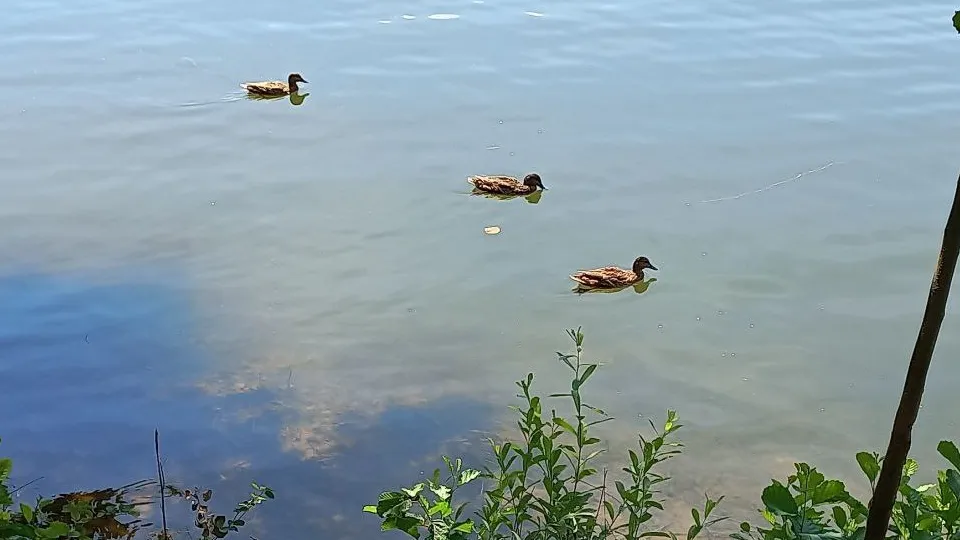 Фото: REGIONS/Олег Книжник