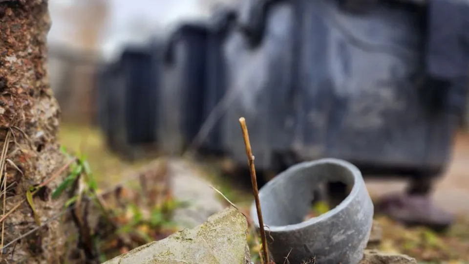Фото: МедиаБанк Подмосковья/Евгений Рой