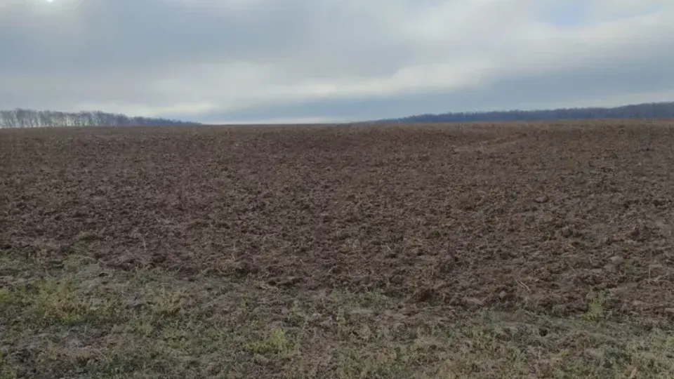 Участок на торгах в г.о. Коломна. Фото: Единый портал торгов Московской области ЕАСУЗ