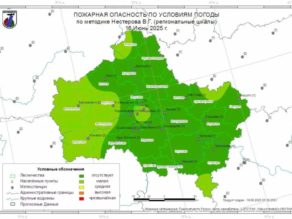 Фото:&nbsp;Комитет лесного хозяйства Московской области