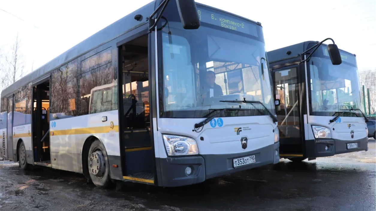 Фото: Василий Тремасов