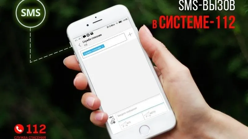  Пресс-служба Дмитрия Пестова
